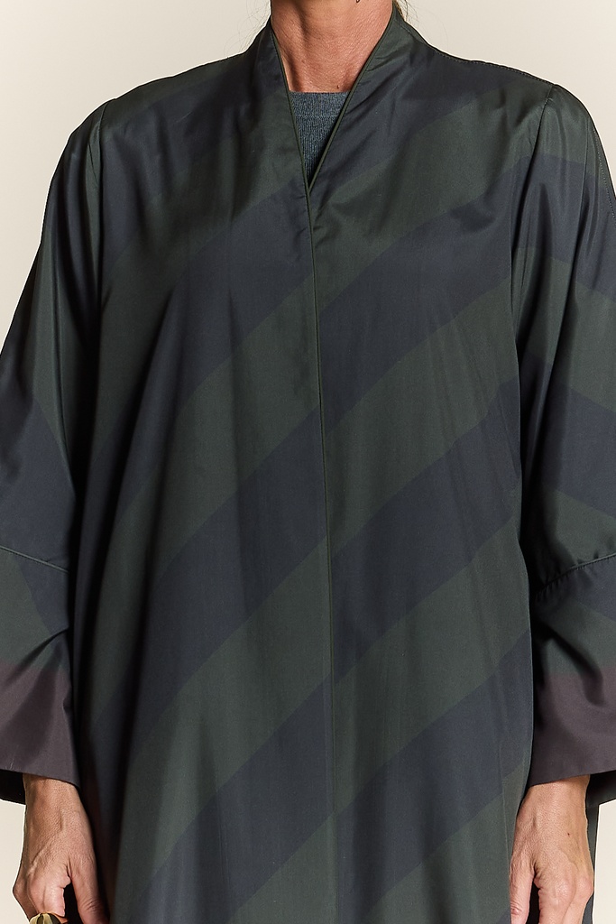 Bordered Olive
