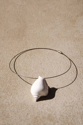 Shell 05